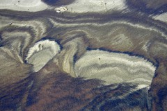 BCDSCF4009-1